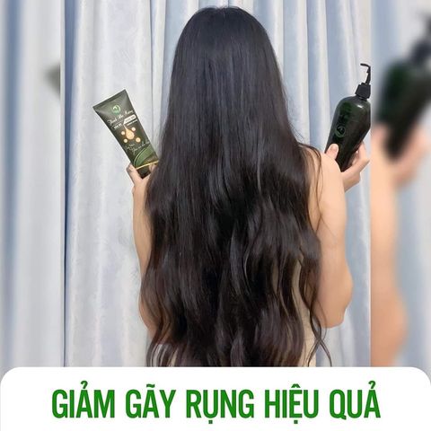 Dầu Gội Thảo Dược Thanh Mộc Hương 350g - Bộ 2 Chai Hỗ Trợ Mọc Tóc, Ngăn Rụng Tóc Từ Thiên Nhiên, Dưỡng Tóc Khỏe Mạnh