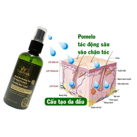 Nước Dưỡng Tóc Tinh Dầu Bưởi Tabaha 120ml - Giúp Kích Mọc Tóc và Ngăn Rụng Tóc Cho Nam, Chăm Sóc Tóc Chất Lượng Cao