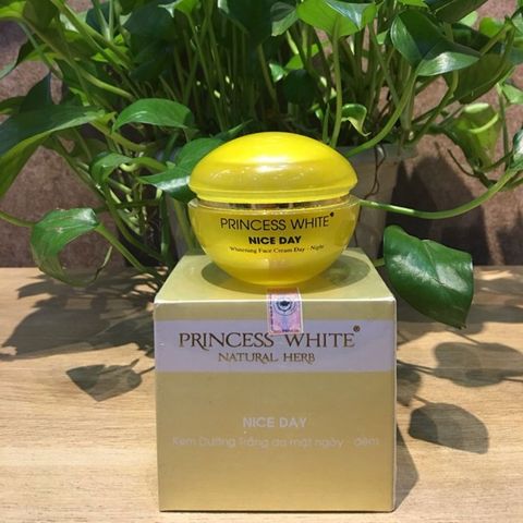 Kem Dưỡng Trắng Da Nice Day Princess White 22g - Chống Lão Hóa, Nuôi Dưỡng Da Mịn Màng, Phù Hợp Mọi Loại Da Phụ Nữ Đông Nam Á