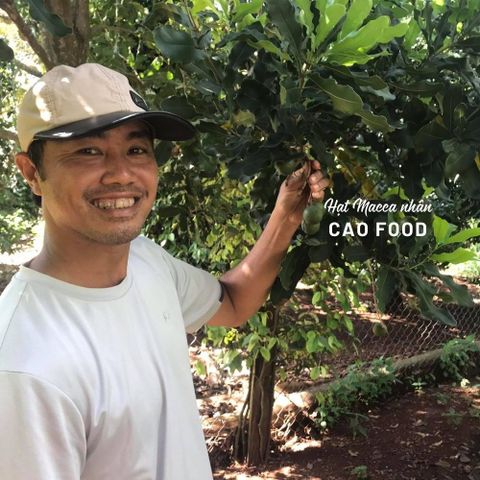 Nhân Hạt Macca Đaklak CAOFOOD Loại 1 - Hạt to, ngọt bùi tự nhiên, giòn rụm, 500g - Thực phẩm dinh dưỡng, ngon miệng, không béo