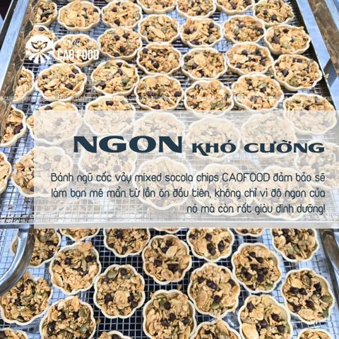 Bánh Ngũ Cốc Vảy Mixed Socola Chips - Bánh Dinh Dưỡng Giòn Tan Nhà Làm, Ăn Vặt Ngon, Không Chất Bảo Quản