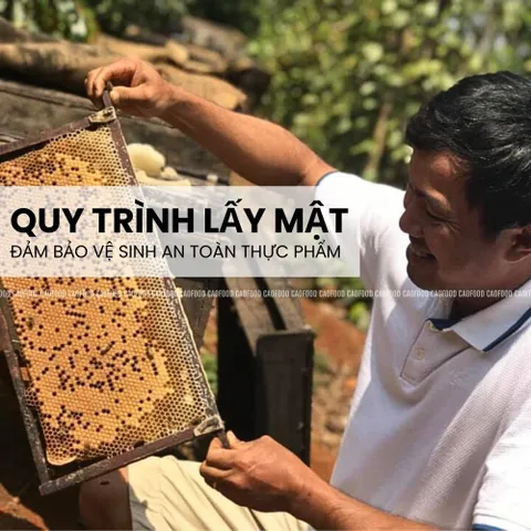 Mật Ong Hoa Cà Phê CAO FOOD 100% Nguyên Chất Từ Tây Nguyên - Hương Vị Tự Nhiên, Ngọt Thanh, Thích Hợp Pha Nước Uống và Chế Biến Thức Ăn