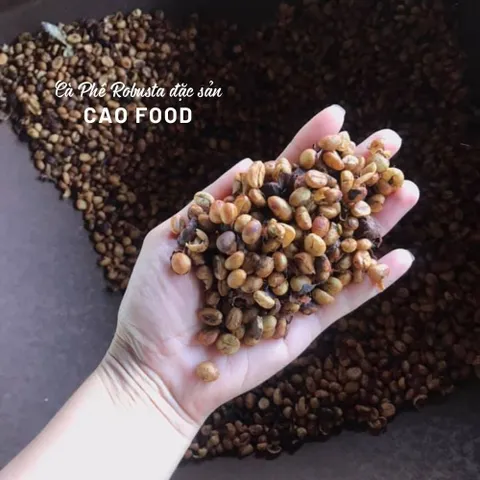 Cà phê Robusta Đaklak CAOFOOD 500g - Đặc sản chế biến ướt Tây Nguyên, hạt cà phê 100% chín, hương vị đậm đà, ngọt hậu tự nhiên