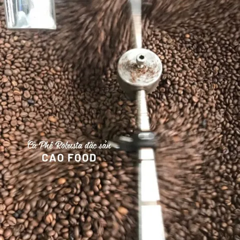 Cà phê Robusta Đaklak CAOFOOD 500g - Đặc sản chế biến ướt Tây Nguyên, hạt cà phê 100% chín, hương vị đậm đà, ngọt hậu tự nhiên