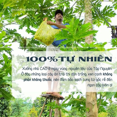 Mật Ong Ngâm Hoa Đu Đủ Đực 500ml - Thực Phẩm Tốt Cho Sức Khỏe, Giảm Ho, Nguyên Liệu Sạch 100% - Sản Phẩm Nhà Làm