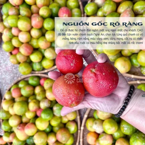 Chanh Đào Ngâm Mật Ong Đường Phèn CAOFOOD 1L - Giảm Ho, Tăng Cường Sức Đề Kháng, Thức Uống Dinh Dưỡng, Hương Vị Thơm Ngon, Nguyên Chất 100%