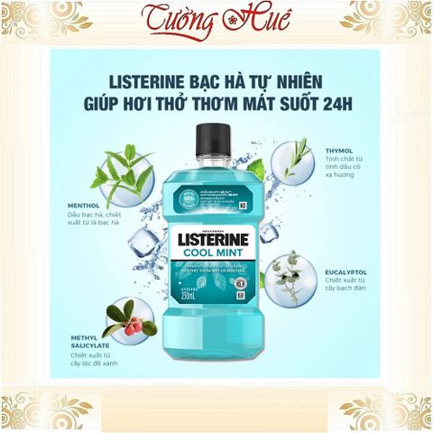 Nước Súc Miệng Listerine Cool Mint 250ml - Khử Trùng Miệng, Diệt Khuẩn Hiệu Quả, Hơi Thở Thơm Mát, An Toàn Cho Nướu