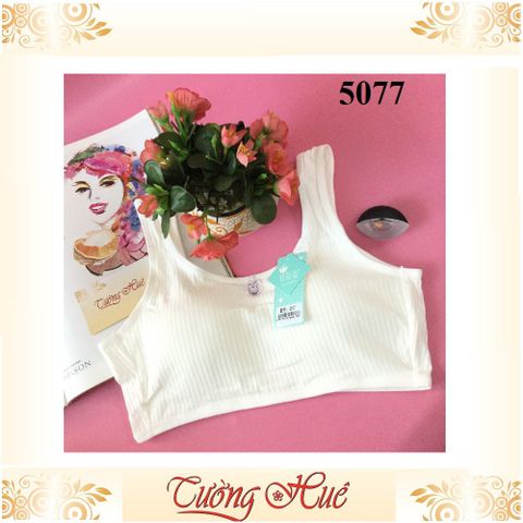 Áo lót nữ Qianerzi 5077 - Áo lá croptop trẻ trung, thoáng mát, co giãn tốt, phù hợp với áo dài và trang phục hàng ngày.