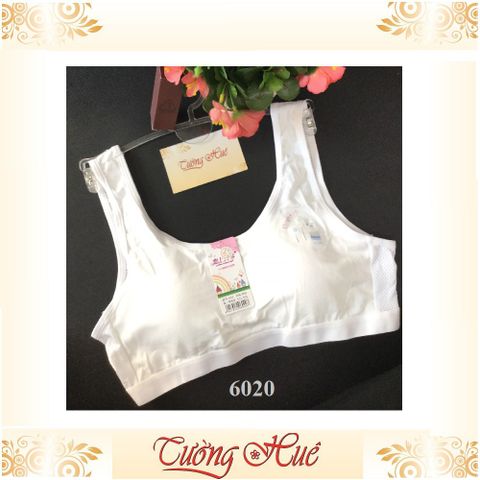 Áo lá nữ Lianshangqingchun 6020 - Áo lót học sinh cotton thoáng mát, co giãn, thiết kế trẻ trung, năng động, phù hợp mọi trang phục.