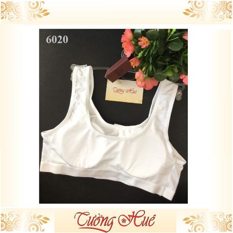 Áo lá nữ Lianshangqingchun 6020 - Áo lót học sinh cotton thoáng mát, co giãn, thiết kế trẻ trung, năng động, phù hợp mọi trang phục.