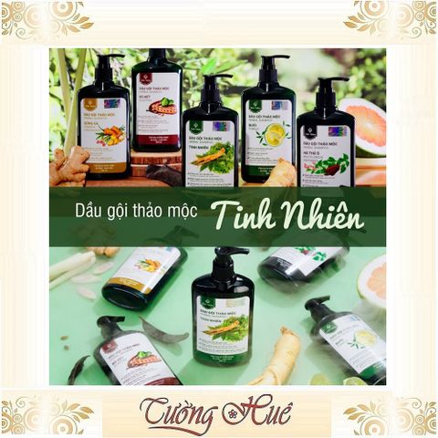 Dầu Gội Thảo Mộc Hà Thủ Ô Tinh Nhiên - Giúp Tóc Đen Bóng Khỏe, Ngăn Ngừa Tóc Bạc Sớm - 300ml Việt Nam