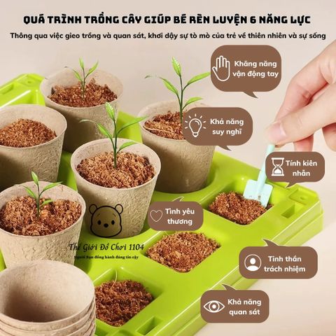 Bộ Đồ Chơi Trồng Cây Trong Nhà Kính Mini - Giáo Dục Khoa Học Cho Bé - Khám Phá Thiên Nhiên và Kỹ Năng Sống