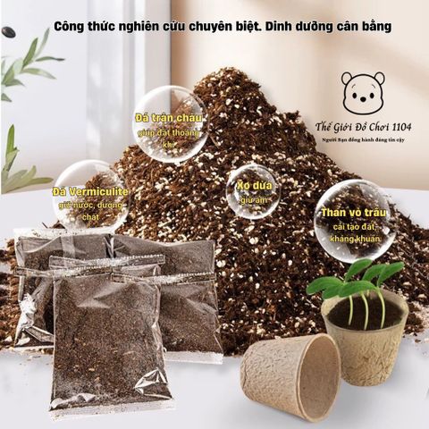 Bộ Đồ Chơi Trồng Cây Trong Nhà Kính Mini - Giáo Dục Khoa Học Cho Bé - Khám Phá Thiên Nhiên và Kỹ Năng Sống