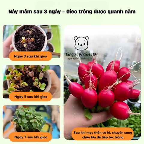 Bộ Đồ Chơi Trồng Cây Trong Nhà Kính Mini - Giáo Dục Khoa Học Cho Bé - Khám Phá Thiên Nhiên và Kỹ Năng Sống