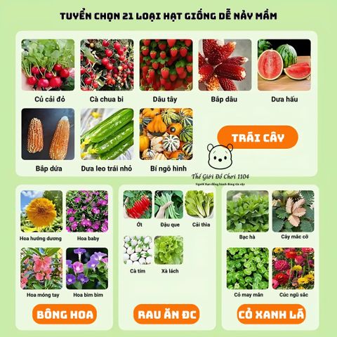 Bộ Đồ Chơi Trồng Cây Trong Nhà Kính Mini - Giáo Dục Khoa Học Cho Bé - Khám Phá Thiên Nhiên và Kỹ Năng Sống