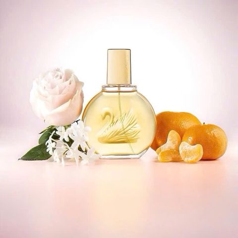 Nước Hoa Nữ Gloria Vanderbilt 100ml - Eau De Toilette Hương Ngọt Ngào Quyến Rũ Từ Thiên Nga Tài Năng