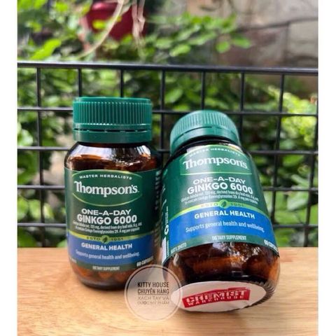 Viên uống bổ não Thompson’s Ginkgo 6000mg - Tăng cường trí nhớ, cải thiện nhận thức, 60 viên hỗ trợ sức khỏe não bộ