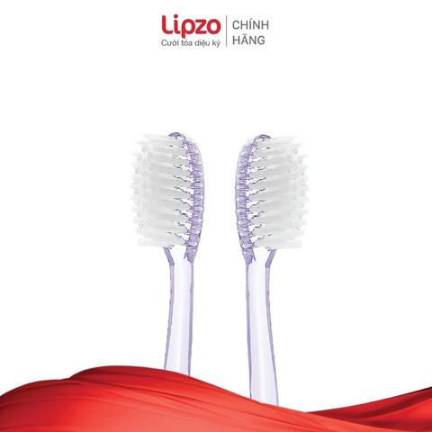 Bộ 3 Bàn Chải Đánh Răng Lipzo Crystal Love Cho Nữ - Thiết Kế Đặc Biệt, Chất Liệu Cao Cấp, Làm Sạch Hiệu Quả