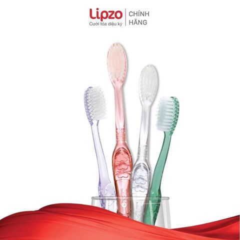 Bộ 3 Bàn Chải Đánh Răng Lipzo Crystal Love Cho Nữ - Thiết Kế Đặc Biệt, Chất Liệu Cao Cấp, Làm Sạch Hiệu Quả
