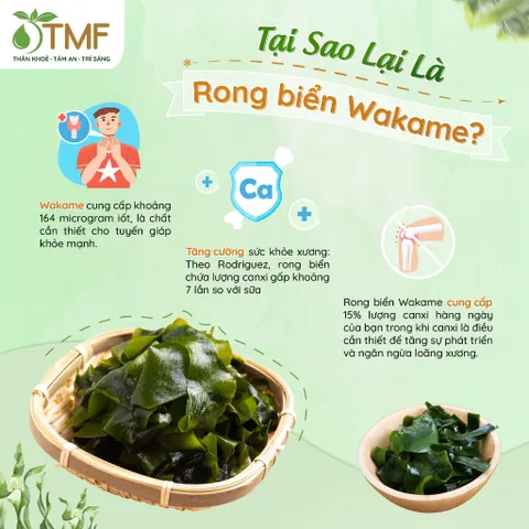 Thùng 24 Hộp Canh Rong Biển Ăn Liền Tâm Minh Foods - Hộp 4 Gói Nấu Canh Đậu Hũ Nguyên Liệu Tự Nhiên, Dinh Dưỡng Cao