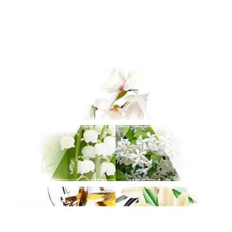 Nước Hoa La Rive In Love 90ml - Dupe Hoàn Hảo Của J’adore Dior - Hương Quýt, Hoa Hồng, Sang Trọng, Giá Tốt