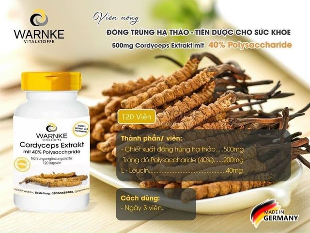 Viên Uống Đông Trùng Hạ Thảo Warnke 120 Viên - Tăng Cường Sức Khỏe, Đề Kháng & Hỗ Trợ Miễn Dịch Tự Nhiên