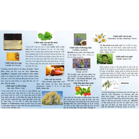Kem Dưỡng Rau Má Lên Men Zymogen Centella Ferment Cream - Chống Lão Hóa, Tái Tạo Da, Ngừa Mụn, Mờ Thâm, Làm Dịu Da