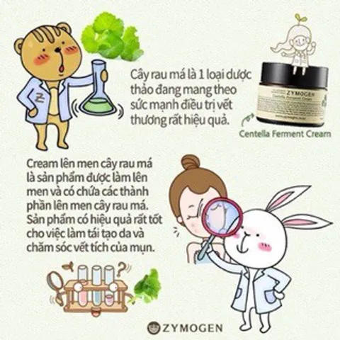Kem Dưỡng Rau Má Lên Men Zymogen Centella Ferment Cream - Chống Lão Hóa, Tái Tạo Da, Ngừa Mụn, Mờ Thâm, Làm Dịu Da
