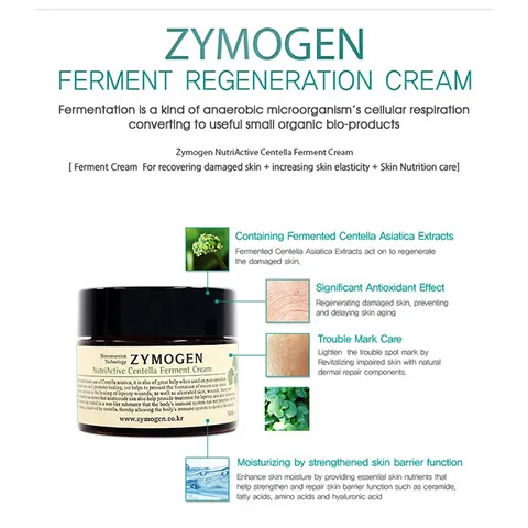 Kem Dưỡng Rau Má Lên Men Zymogen Centella Ferment Cream - Chống Lão Hóa, Tái Tạo Da, Ngừa Mụn, Mờ Thâm, Làm Dịu Da