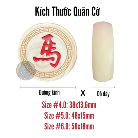 Bộ Cờ Tướng Gỗ Tự Nhiên Khắc Chìm Ký Tự - Cờ Gỗ Bạch Dương Cao Cấp [BDV] - Đồ Chơi Giải Trí Trí Tuệ cho Gia Đình