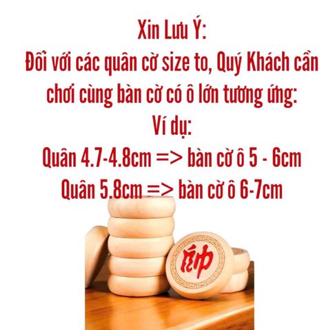 Bộ Cờ Tướng Gỗ Tự Nhiên Khắc Chìm Ký Tự - Cờ Gỗ Bạch Dương Cao Cấp [BDV] - Đồ Chơi Giải Trí Trí Tuệ cho Gia Đình