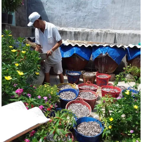 nước mắm nhỉ cá cơm nguyên chất truyền thống nhà làm loại ngon đặc biệt, an toàn, chất lượng 500ml