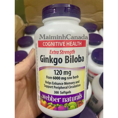 Viên uống bổ não Ginkgo Biloba 120mg Webber Naturals date 2029