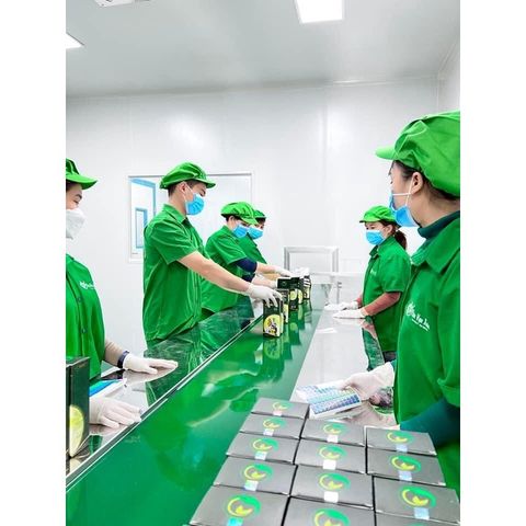 Dầu Gội Thanh Mộc Hương 350ml - Kích Thích Mọc Tóc, Chống Rụng, Siêu Mềm Mượt Cho Da Đầu Nhạy Cảm