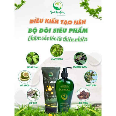 Dầu Gội Thanh Mộc Hương 350ml - Dưỡng Tóc Chắc Khỏe, Ngăn Rụng Tóc, Hương Thảo Mộc Tự Nhiên, Chính Hãng