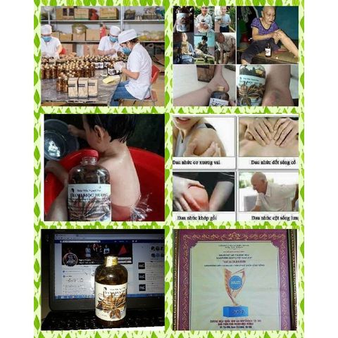 Dầu Xoa Bóp Thanh Mộc Hương 500ml - Giảm Đau Cơ, Khớp, Tê Bì Chân Tay, Đau Vai Gáy - Sản Phẩm Chăm Sóc Cơ Thể Chất Lượng