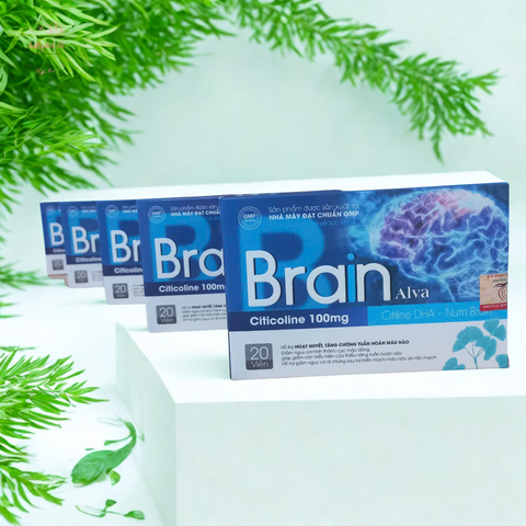 Viên uống Brain Alva - Hỗ trợ tăng cường tuần hoàn não, cải thiện trí nhớ, giảm đau đầu và hoa mắt, sản phẩm từ thiên nhiên.