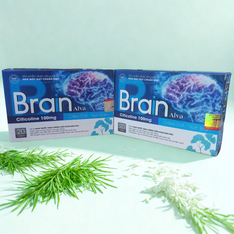 Viên uống Brain Alva - Hỗ trợ tăng cường tuần hoàn não, cải thiện trí nhớ, giảm đau đầu và hoa mắt, sản phẩm từ thiên nhiên.