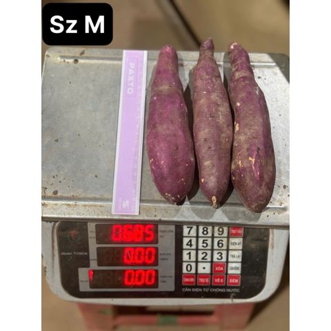 Khoai Lang Nhật Xuất Khẩu Size M 3kg - Ruột Vàng Dẻo Ngọt, Giàu Chất Xơ Và Vitamin, Thực Phẩm Lành Mạnh Cho Sức Khỏe