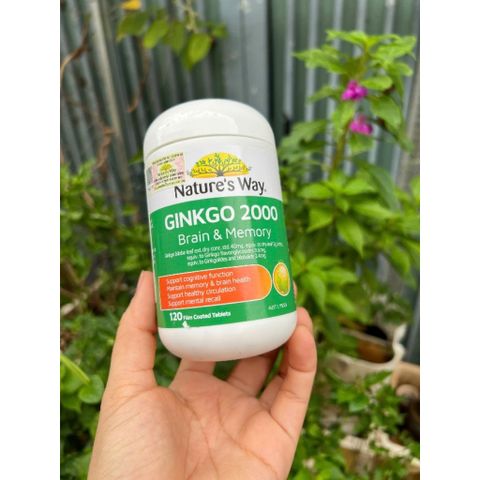 Viên uống hỗ trợ tăng cường trí nhớ Nature’s Way Ginkgo 2000 - 120 viên, chiết xuất lá bạch quả, hàng Úc nhập khẩu chính ngạch