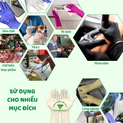 Combo 6 Loại Găng Tay Cao Su Nhập Khẩu Malaysia - Tặng 2 Đôi Găng Tay Đa Năng, Chống Nước, An Toàn cho Da Tay