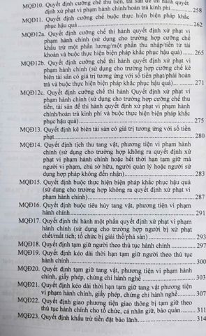 Luật Xử Lý Vi Phạm Hành Chính 2025 - Văn Bản Quy Định Chi Tiết & Biện Pháp Thi Hành Chính Thống Chính Phủ Việt Nam