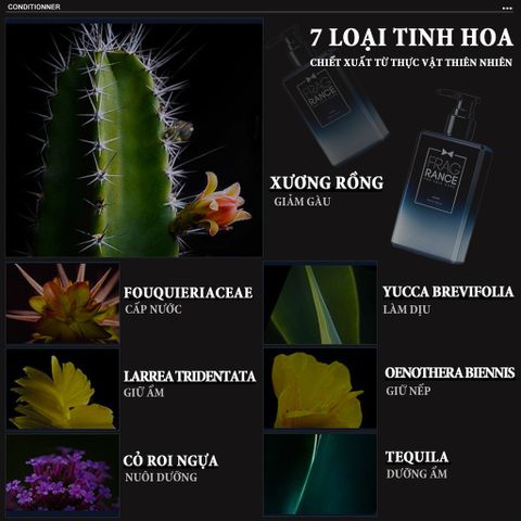 Dầu Xả Nam Blueman 210g - Phục Hồi Tóc Chắc Khỏe, Dưỡng Ẩm, Bảo Vệ Tóc Khỏi Tác Hại Môi Trường - Hudu Cosmetics