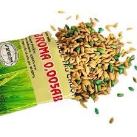 100 Gói Thóc Chuột Sinh Học Broma Trộn Sẵn 50g – Diệt Chuột An Toàn, Hiệu Quả, Dùng Để Kiểm Soát Chuột Tại Nhà