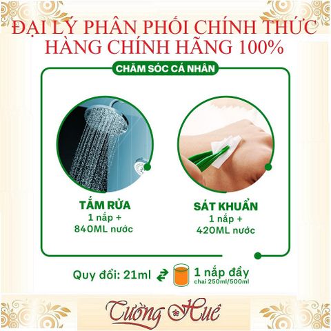 Dung Dịch Sát Khuẩn Dettol Đa Năng 500ml/1000ml - Diệt Khuẩn 99,9% An Toàn Cho Gia Đình, Khử Trùng Bề Mặt & Da