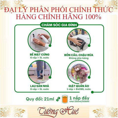 Dung Dịch Sát Khuẩn Dettol Đa Năng 500ml/1000ml - Diệt Khuẩn 99,9% An Toàn Cho Gia Đình, Khử Trùng Bề Mặt & Da
