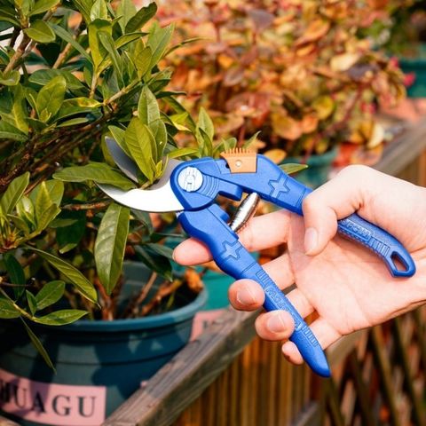 Kéo cắt tỉa cành 200mm Wadfow WPA1E08 - Dụng cụ làm vườn chất lượng cao với tay cầm thoải mái, lưỡi thép carbon bền bỉ.