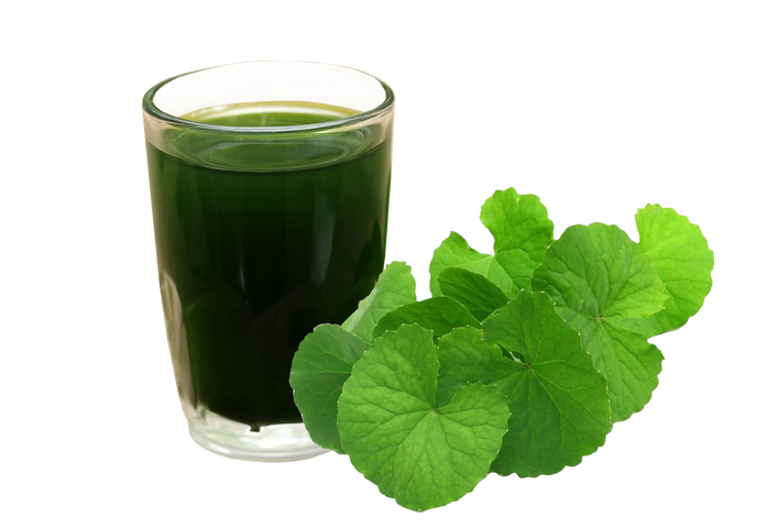 Bột Rau Má Sấy Lạnh 50gr - Detox Tự Nhiên, Giảm Cân Hiệu Quả, Thanh Nhiệt Cơ Thể, Tiện Lợi Cho Người Bận Rộn