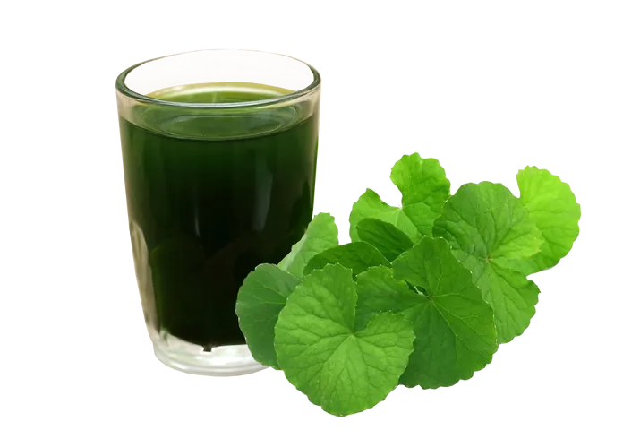 Bột Rau Má Sấy Lạnh 50 Gói x 2gr - Detox, Giảm Cân Tự Nhiên, Thanh Nhiệt - Thực Phẩm Lành Mạnh Cho Người Bận Rộn