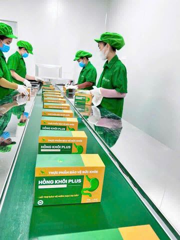 Dạ Dày Hồng Khôi Thanh Mộc Hương 100gr - Giải Pháp Hỗ Trợ Tiêu Hóa Tự Nhiên, Chính Hãng Chất Lượng Cao